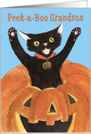 Halloween Grandson, Jack O’Lantern Cat card