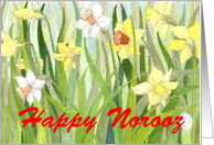 Daffodil Fields Norooz card