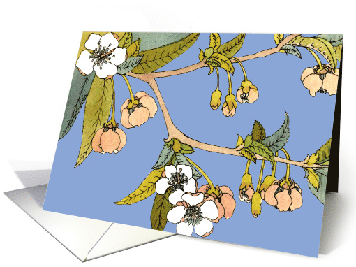 Cherry Blossom Golden Week card (564517)
