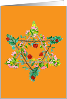 Tu B’Shvat Pomegranate Star of David card
