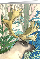 Caribou Woods - Christmas card