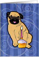 Happy Birthday Sweetie Pug card