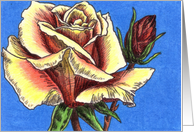 Red and Yellow Tea Rose card