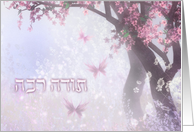 Thank You in Hebrew ~Todah Rabah ~ Cherry Tree Blossoms card