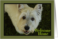 White Welcome Home Dog card