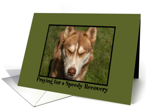 Speedy Recovery Puppy card (849941)