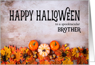 Pumpkins, Spiders and Leaves Happy Halloween for Brother card