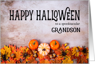 Pumpkins, Spiders and Leaves Happy Halloween for Grandson card