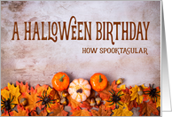 Pumpkins, Spiders and Leaves Happy Halloween Birthday card