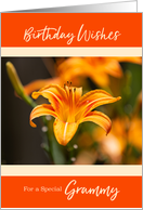 Day Lily Happy Birthday for Grammy card