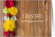 I Am Sorry Apology Mums and Daisies on Rustic Wood card