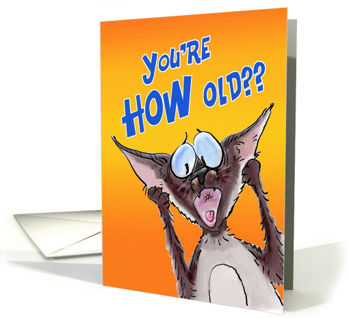 Siamese Cat Birthday Humor card (1057345)