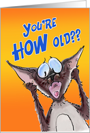 Siamese Cat Birthday Humor card