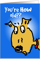 Dog Years Birthday Humor card