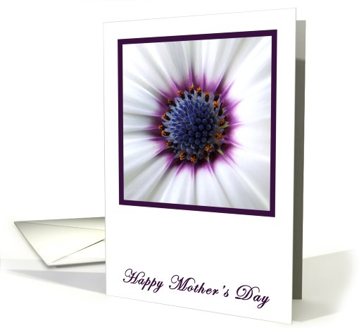 Purple Daisy Mothers Day card (416958)