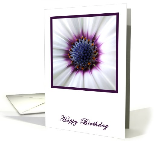 Purple Daisy Birthday card (416960)