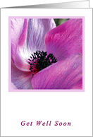 Anemone Get Well Soon Card