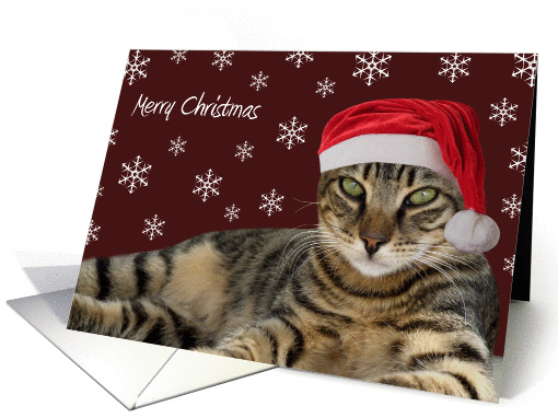 Santa Tabby Cat Merry Christmas card (877747)