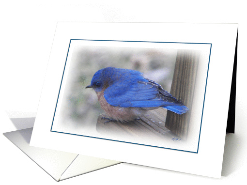 A little birdie card (129943)