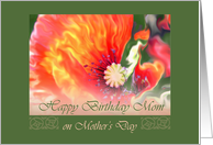 Happy Birthday mom Mother’s Day Poppy card