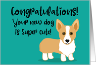 Congratulations on Your New Dog Blue With Corgi Dog card