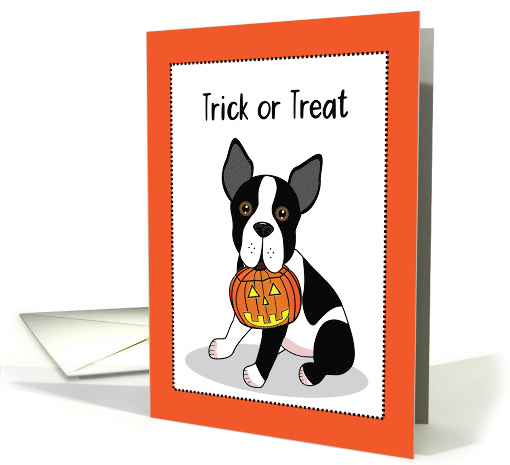 Boston Terrier with Jack O' Lantern for Halloween card (1643572)