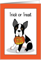 Boston Terrier with Jack O’ Lantern for Halloween card