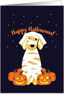 Golden Retriever Happy Halloween with Pumpkins card