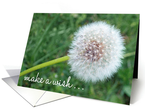 Make A Wish Dandelion Birthday card (1120650)