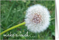 Make A Wish Dandelion Birthday Card