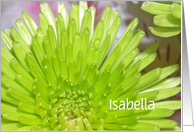 Vibrant Green Flowers, Customize Name Isabella Birthday Card