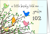 Happy Birthday - A birdy Told Me you’re 102 card