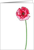 Poppy Birthday Card