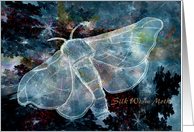 Blue Nocturnal Silk Worm Moth Card