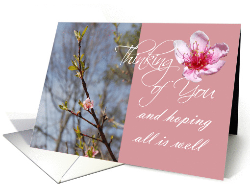 Thinking of You - Blossom card (101190)