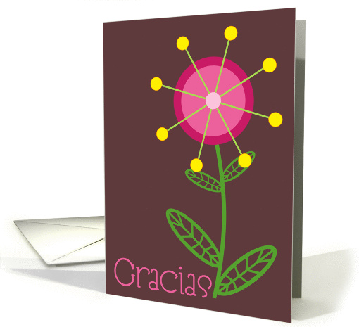 Gracias Quinceanera Thank You in Spanish card (207979)