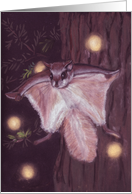 Night flyers card