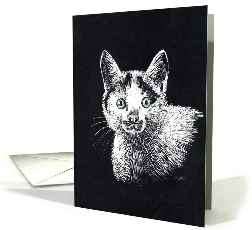 Black and White Kitten card (661061)