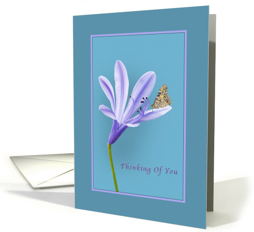 Thinking of You, Religious, Lilac Daylily Flower and Butterfly card