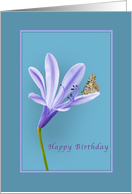 Birthday, Religious, Lilac Daylily Flower and Butterfly card