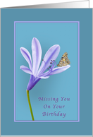 Birthday, Missing You, Lilac Daylily Flower and Butterfly card