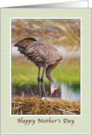 Mother’s Day Card with Crane Nest card