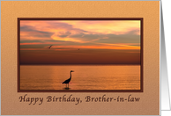 Birthday, Brother-in-law, Ocean Sunset with Birds card