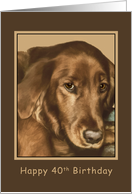 Birthday, 40th, Golden Irish Dog card