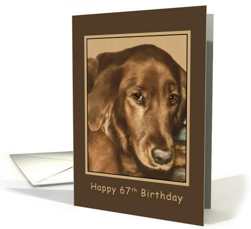 Birthday, 67th, Golden Irish Dog card (1188464)
