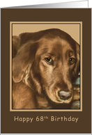 Birthday, 68th, Golden Irish Dog card