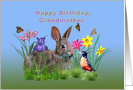 Birthday, Grandmother, Bunny Rabbit, Robin, and Flowers card