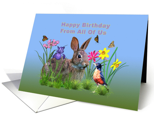 Birthday, From All of Us, Bunny Rabbit, Robin, and Flowers card