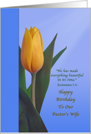 Birthday, Pastor’s Wife, Tulip Flower, Religious card