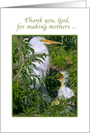 Mother’s Day Card with Baby Egret card